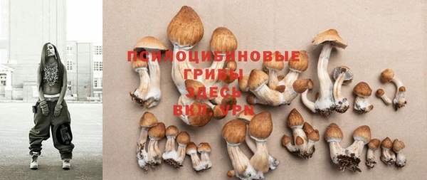 ПСИЛОЦИБИНОВЫЕ ГРИБЫ Иннополис