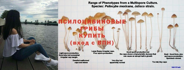 MDMA Premium VHQ Арсеньев